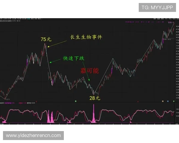 PA龙虎真人如何选择最佳投注策略实现稳健盈利